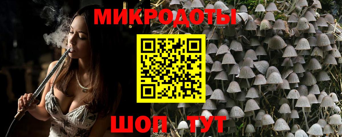 Ставрополь  Псилоцибиновые грибы ЛСД  Вход с VPN 